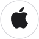 Apple 2010