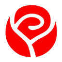 Buket-roz.ru 2013