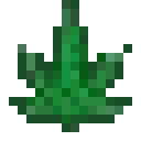 Cannabiscafe.net