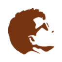 choyongpil.net 2020