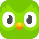 Duolingo Scrape 2023
