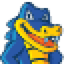 flaguns.com 2020