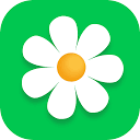 flor2u.ru 2022