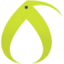 KiwiFarms 2019