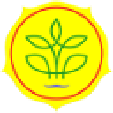 ladabunpontianak.com 2022
