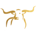Longhorn Imaging 2023
