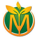mymfnow.com 2022