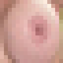 Pron 2011