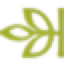 RootsWeb Acestry 2017