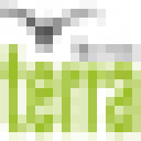 terradent.pl 2020