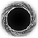 Void.to 2019