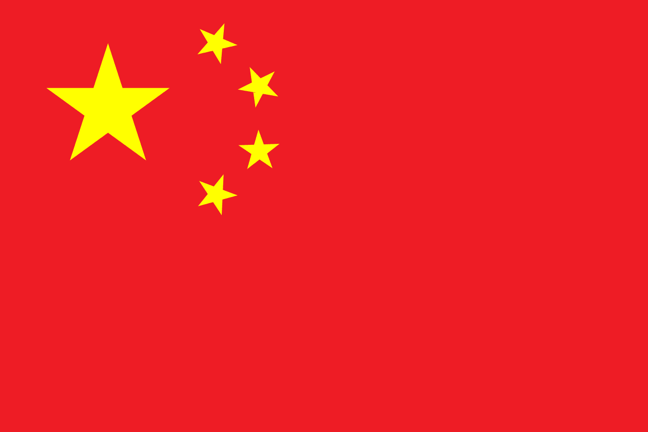 Kaixin001 2011